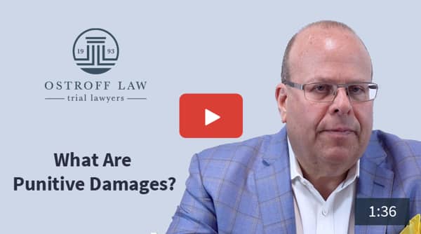 What Are Punitive Damages?